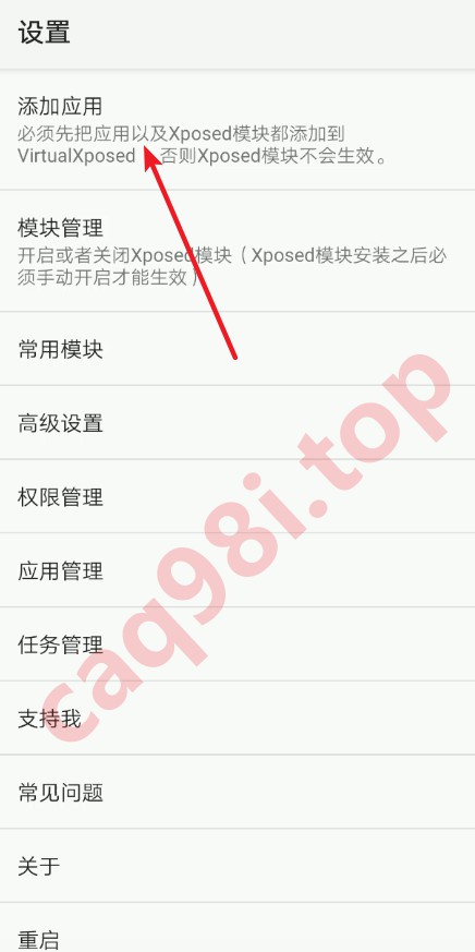 VirtualXposed设置界面