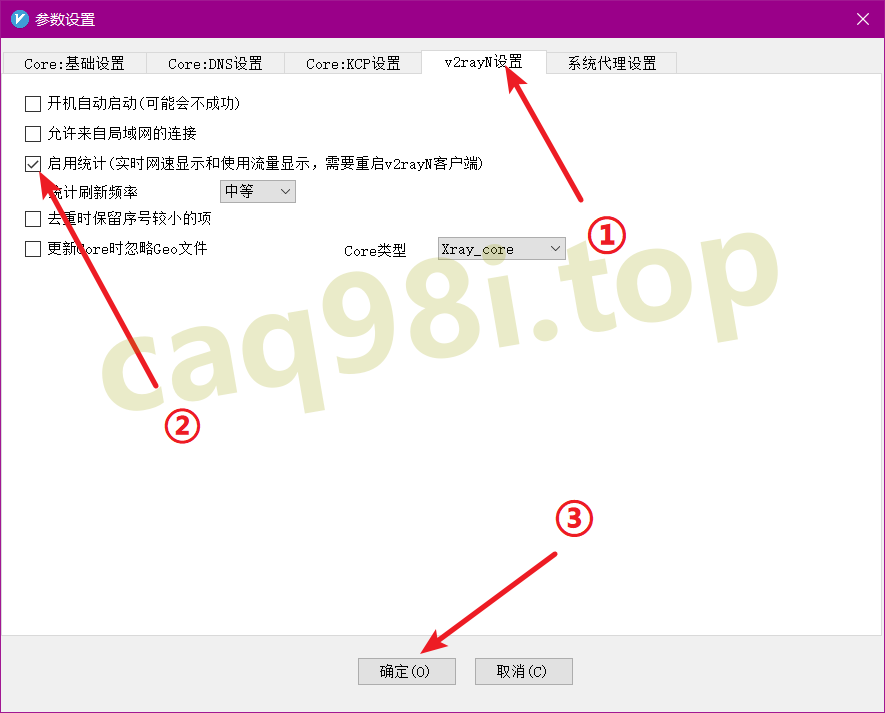 v2rayN参数设置