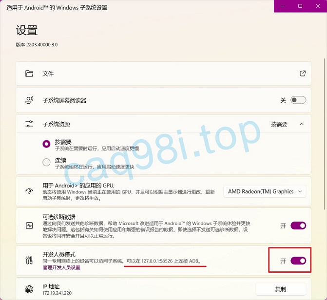 WSA设置